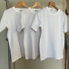 Tシャツ　３枚セット
