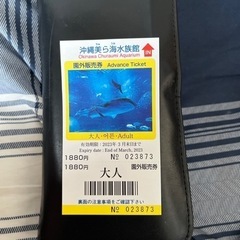 【ネット決済・配送可】美ら海水族館のチケット