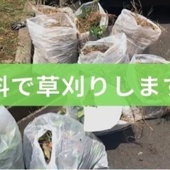 8月11日(木)新潟市を中心に無料で草刈りをします！