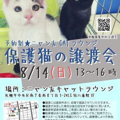 【札幌市・中央区】保護猫の譲渡会（8/14）