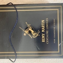 VERSACE ヴェルサーチ ショルダーバッグ メデューサ レザー グリーン メンズ レディース-レミーマルタン　箱付き