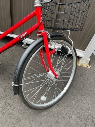 bell fast （ベルファスト）自転車