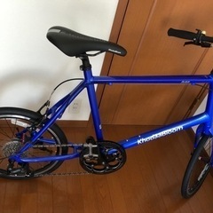 1回のみ乗車 ミニベロ RAIL20 コーダブルーム