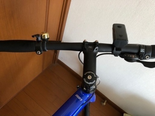 １回のみ乗車　ミニベロ　RAIL20 コーダブルーム