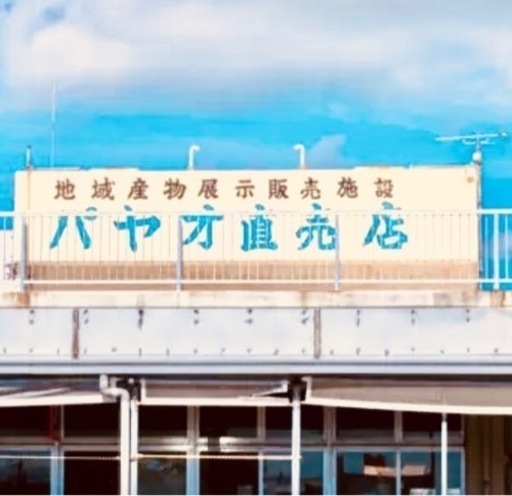 8月11日 山の日に泡瀬のパヤオにて お花販売 うずら てだこ浦西の地域 お祭りのイベント参加者募集 無料掲載の掲示板 ジモティー