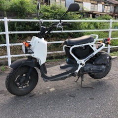 【ホンダ 】☆ズーマー☆ 50cc 4サイクル 　スクーター　バ...