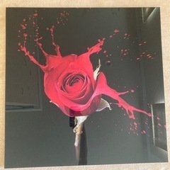 Francfrancのアクリルアート　薔薇