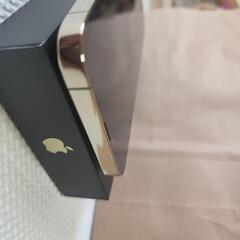 【AppleCare付き】iPhone13promax　256GB (G)