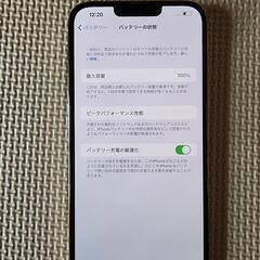 【AppleCare付き】iPhone13promax　256GB (G)