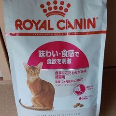猫ロイヤルカナン味わい食感2kg　キャットフード