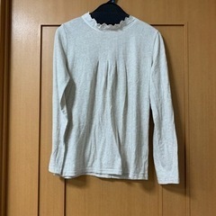 綿　シャツ