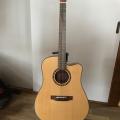 新品同様　アコースティックギター　Elvis Master1 初...