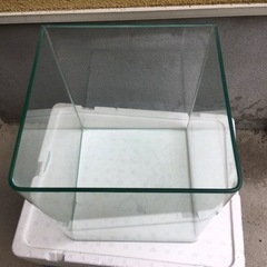 コンパクト　ガラス水槽　25cm
