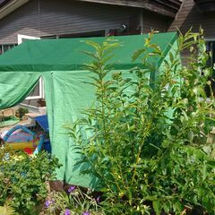 大きなキャンプ テント