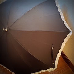 晴れ雨兼用 傘  日傘 ブラック‪✕‬白