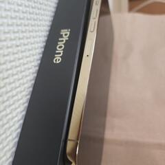 iPhone13promax256GB (G)AppleCare付き