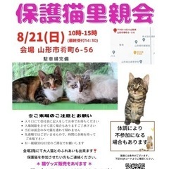 にゃんこねくと 8/21 保護猫里親会の画像