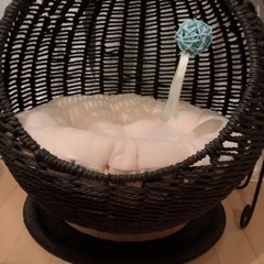 MOFUキャット⭐︎サークル型　ラタン　猫ハウス　⭐︎