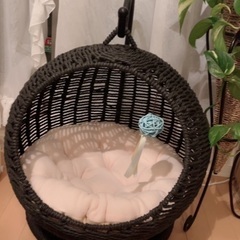 MOFUキャット⭐︎サークル型　ラタン　猫ハウス　⭐︎