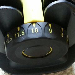 可変 ダンベル ダイヤル式 24㎏2個