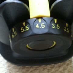 可変 ダンベル ダイヤル式 24㎏2個