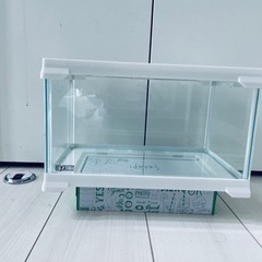 【展示品】GEX EXOTERRA レプテリアホワイト300 Low 