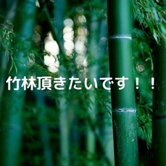 鎌ヶ谷、船橋市周辺で竹林頂きたいです！