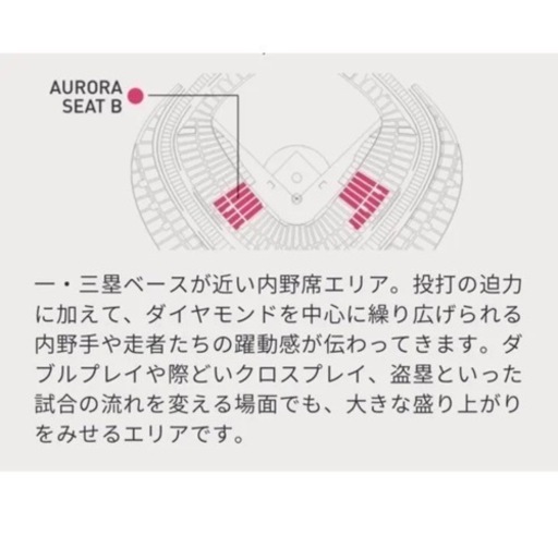 巨人戦 東京ドーム チケット2枚 8/14
