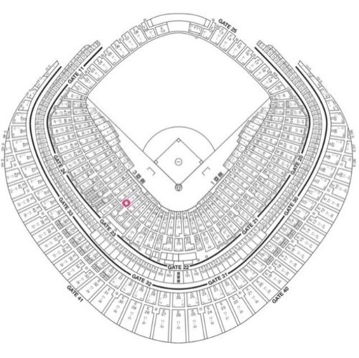 巨人戦 東京ドーム チケット2枚 8/14