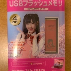 【未開封】まゆゆUSB  4GB 【完全新品】