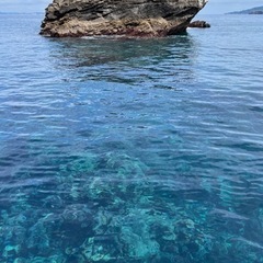 釣り仲間募集（千葉県）！！