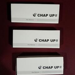 【ネット決済・配送可】CHAP UP