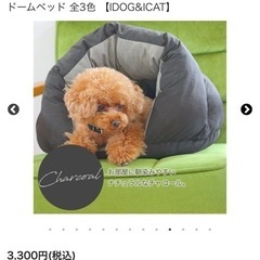 犬猫用　ドーム型ベッド　iDogiCat 