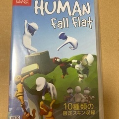 【お譲り先決まりました】ヒューマンフォールフラット★HUMAN ...