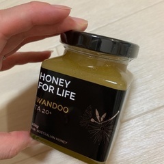 【最終値下げ】高級蜂蜜はちみつWANDOO　260g