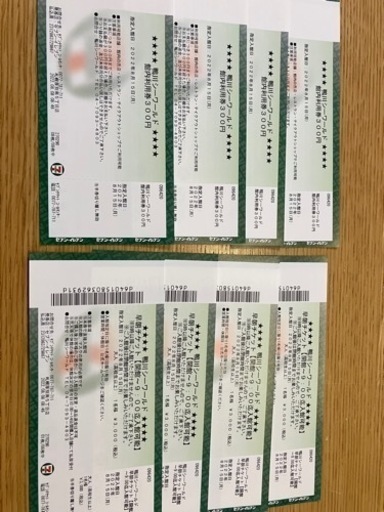 鴨川シーワールド　8/15指定チケット　9時まで入園 鴨川シーワールド 8/15指定チケット 9時まで入園