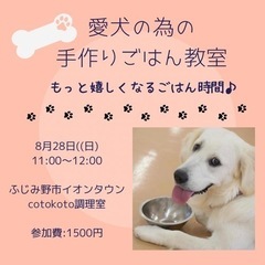 愛犬の為の手作りごはん入門☆もっと嬉しくなるごはん時間♪