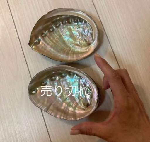 鮑アワビ貝殻大盤１枚 カモミール 玉野のその他の中古あげます 譲ります ジモティーで不用品の処分