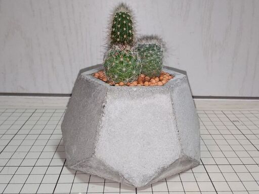 無料 自作セメント鉢 サボテン Dansree 中村橋のその他の中古あげます 譲ります ジモティーで不用品の処分