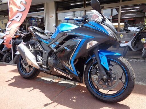 NO.4411　Ｎｉｎｊａ２５０（ニンジャ２５０） 水冷４サイクル２気筒　ＦＩ車　メタリックブルー＆ブラック　☆彡