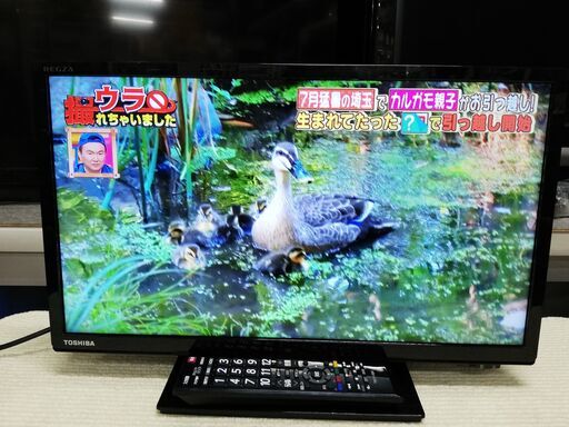 TOSHIBA(REGZA)★19V型液晶テレビ★2020年製★19S22★リモコン付　☆管理8041518