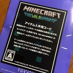 マインクラフト　購入特典　セット