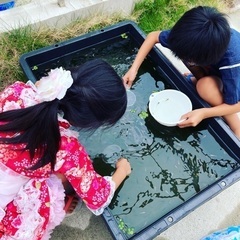 【夏の思い出に】メダカすくい 【コロナ対策】予約制でゆっくりと