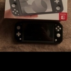 ☆盆休み限定価格☆任天堂Switchライトグレー