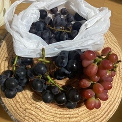 ハネダシ葡萄