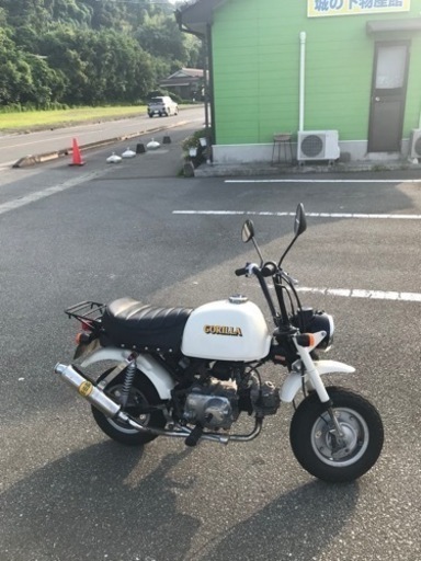 ゴリラ50