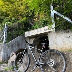 キャノンデール2020年式f-siカーボン４