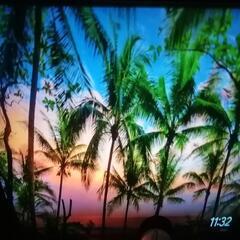 ONOAYO

小型プロジェクター