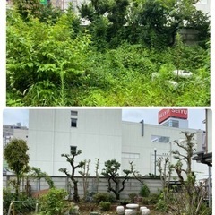 庭園管理、造園　外構工事作業員募集中　男女問わず　所沢市 - 所沢市