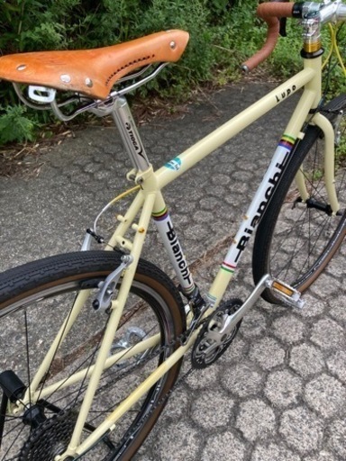 Bianchi lupo 2013